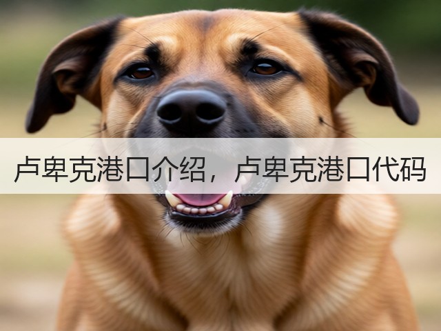 卢卑克港口介绍，卢卑克港口代码(图3)