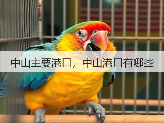 中山主要港口,中山港口有哪些(图1) 中山主要港口,中山港口有哪些(图1)