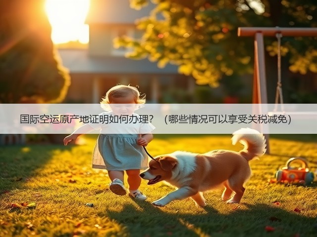 国际空运原产地证明如何办理?(哪些情况可以享受关税减免)(图1) 国际空运原产地证明如何办理?(哪些情况可以享受关税减免)(图1)