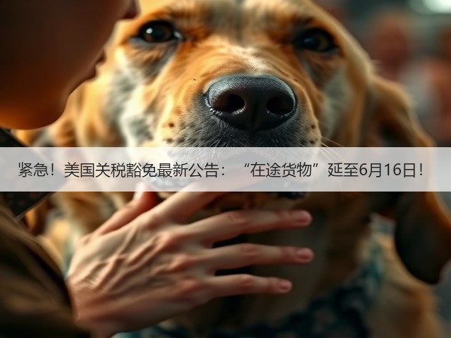 紧急!美国关税豁免最新公告:“在途货物”延至6月16日!(图3) 紧急!美国关税豁免最新公告:“在途货物”延至6月16日!(图3)