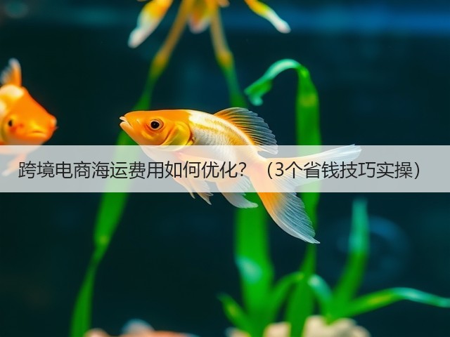 跨境电商海运费用如何优化?(3个省钱技巧实操)(图1) 跨境电商海运费用如何优化?(3个省钱技巧实操)(图1)