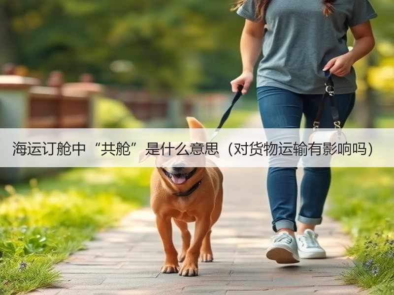 海运订舱中“共舱”是什么意思（对货物运输有影响吗）