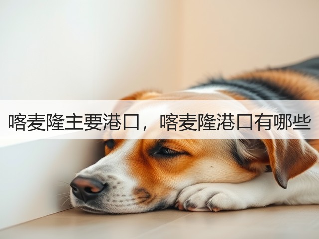 喀麦隆主要港口,喀麦隆港口有哪些(图2) 喀麦隆主要港口,喀麦隆港口有哪些(图2)