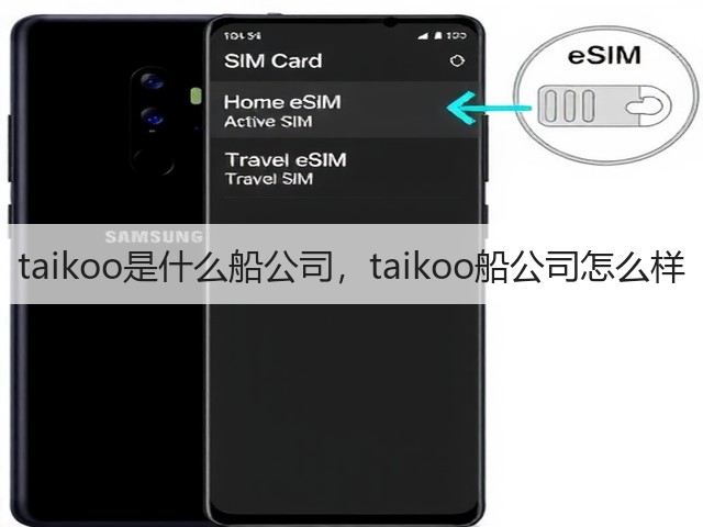 taikoo是什么船公司，taikoo船公司怎么样(图2)