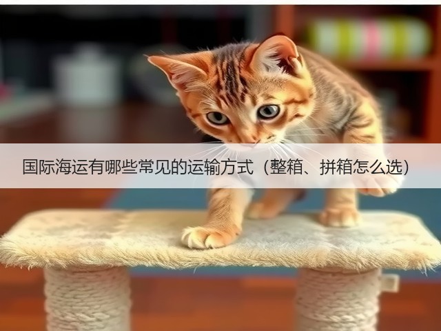 国际海运有哪些常见的运输方式(整箱、拼箱怎么选)(图3) 国际海运有哪些常见的运输方式(整箱、拼箱怎么选)(图3)