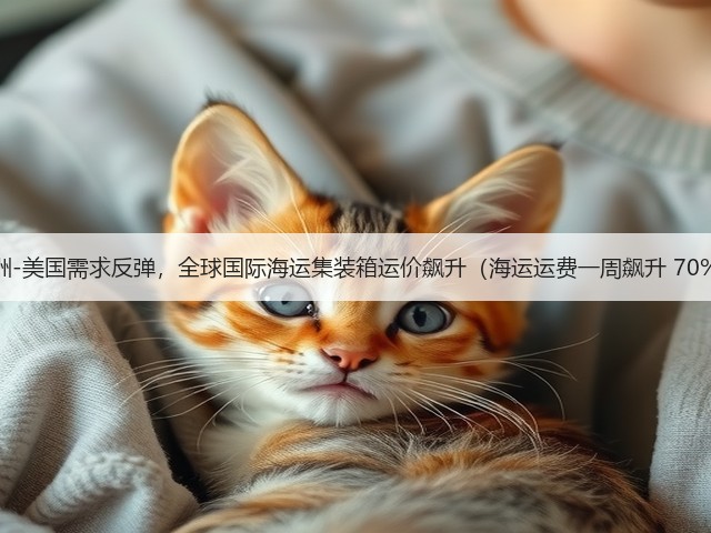 亚洲-美国需求反弹,全球国际海运集装箱运价飙升(海运运费一周飙升 70%)(图3) 亚洲-美国需求反弹,全球国际海运集装箱运价飙升(海运运费一周飙升 70%)(图3)