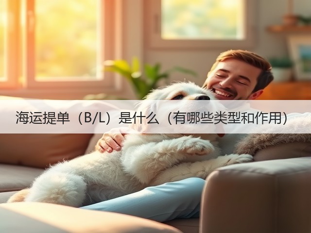 海运提单(B/L)是什么(有哪些类型和作用)(图3) 海运提单(B/L)是什么(有哪些类型和作用)(图3)