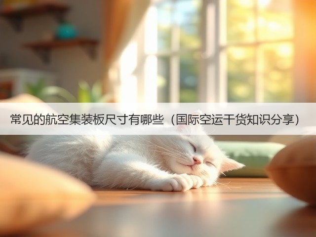常见的航空集装板尺寸有哪些(国际空运干货知识分享)(图3) 常见的航空集装板尺寸有哪些(国际空运干货知识分享)(图3)