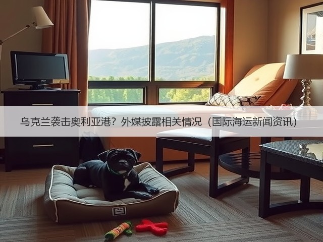 乌克兰袭击奥利亚港?外媒披露相关情况(国际海运新闻资讯)(图3) 乌克兰袭击奥利亚港?外媒披露相关情况(国际海运新闻资讯)(图3)