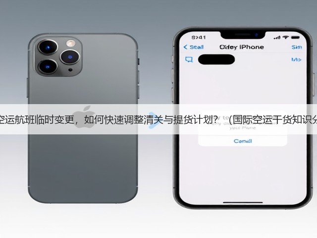 国际空运航班临时变更，如何快速调整清关与提货计划？（国际空运干货知识分享）(图1)