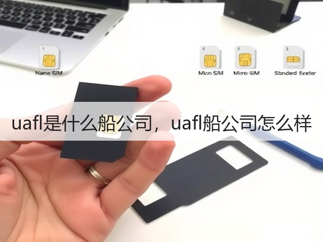 uafl是什么船公司，uafl船公司怎么样(图1)