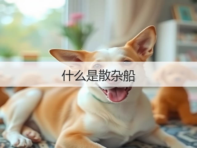 什么是散杂船(图2)