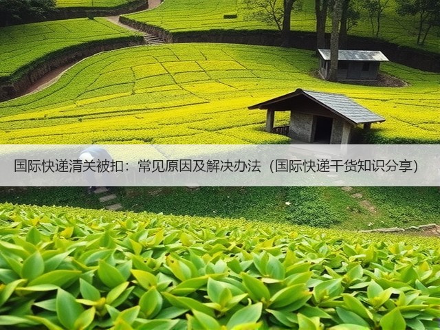 国际快递清关被扣：常见原因及解决办法（国际快递干货知识分享）(图1)