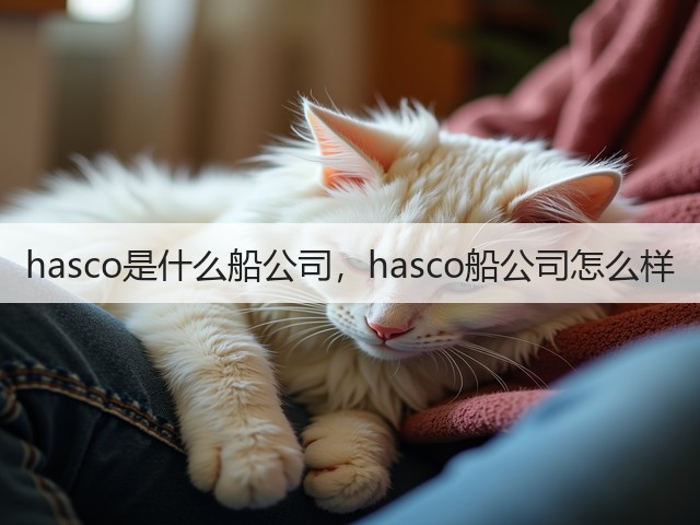 hasco是什么船公司,hasco船公司怎么样(图3) hasco是什么船公司,hasco船公司怎么样(图3)