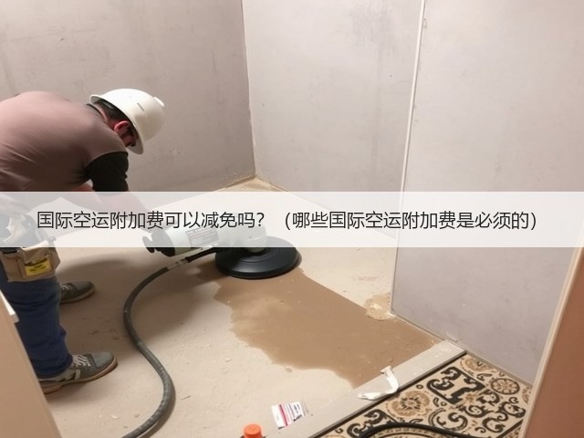 国际空运附加费可以减免吗?(哪些国际空运附加费是必须的)(图3) 国际空运附加费可以减免吗?(哪些国际空运附加费是必须的)(图3)
