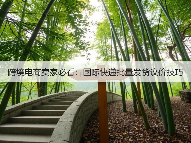 跨境电商卖家必看：国际快递批量发货议价技巧(图1)