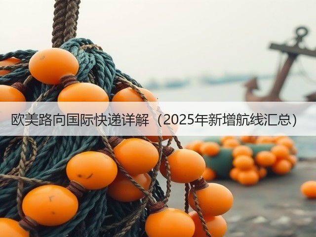 欧美路向国际快递详解(2025年新增航线汇总)(图1) 欧美路向国际快递详解(2025年新增航线汇总)(图1)