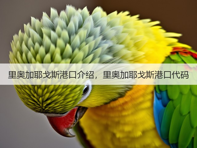 里奥加耶戈斯港口介绍,里奥加耶戈斯港口代码(图1) 里奥加耶戈斯港口介绍,里奥加耶戈斯港口代码(图1)