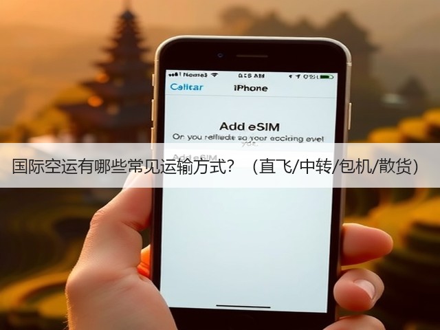 国际空运有哪些常见运输方式？（直飞/中转/包机/散货）(图3)