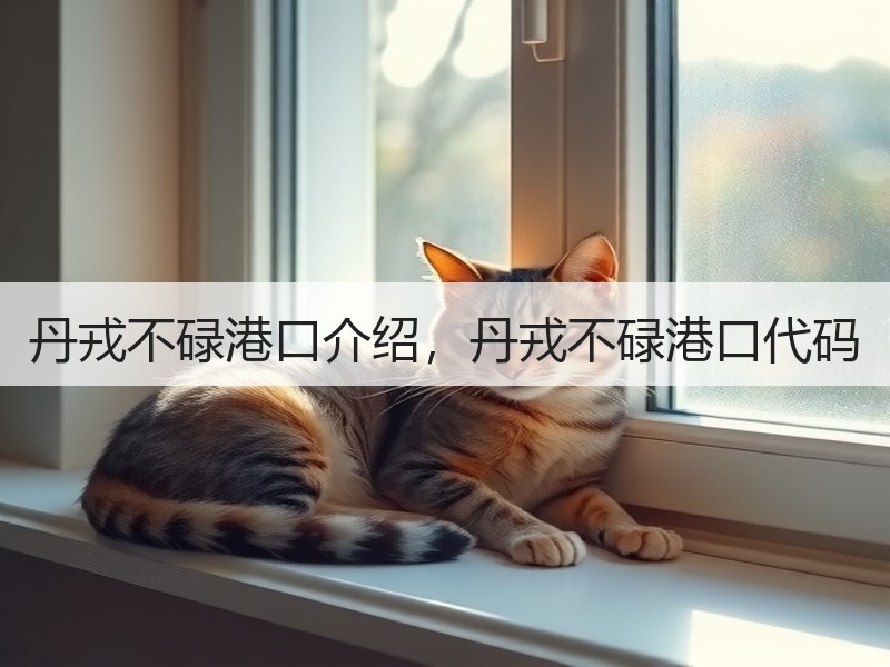 丹戎不碌港口介绍，丹戎不碌港口代码