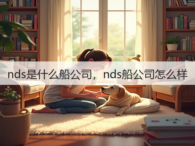 nds是什么船公司，nds船公司怎么样(图1)