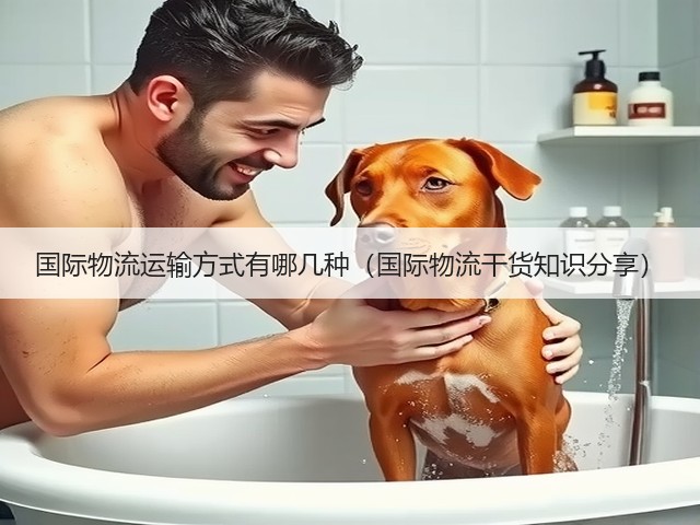 国际物流运输方式有哪几种(国际物流干货知识分享)(图3) 国际物流运输方式有哪几种(国际物流干货知识分享)(图3)