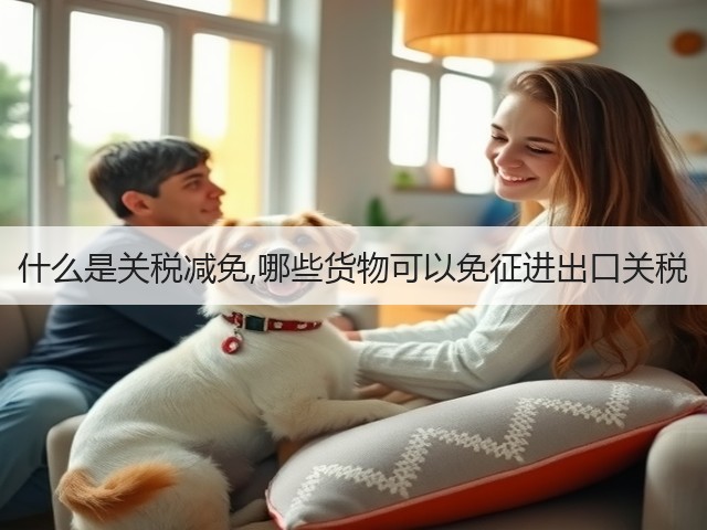 什么是关税减免,哪些货物可以免征进出口关税(图3)