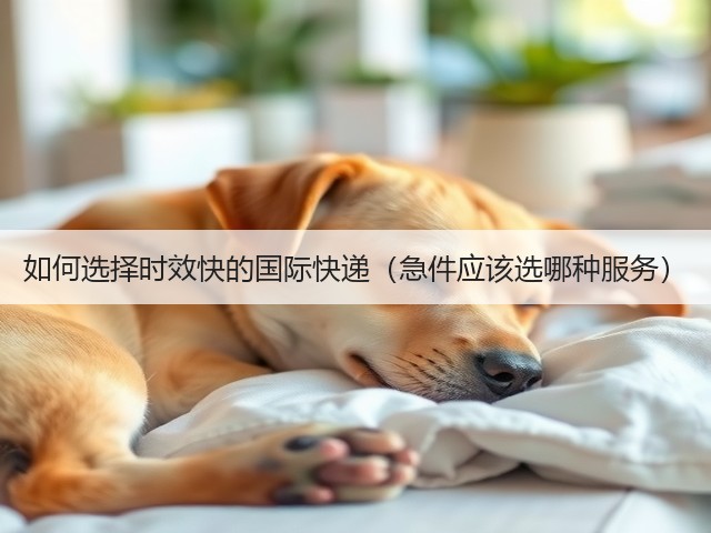 如何选择时效快的国际快递(急件应该选哪种服务)(图2) 如何选择时效快的国际快递(急件应该选哪种服务)(图2)