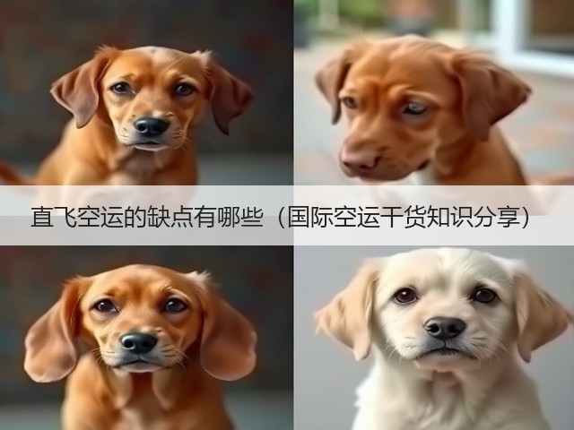直飞空运的缺点有哪些(国际空运干货知识分享)(图1) 直飞空运的缺点有哪些(国际空运干货知识分享)(图1)