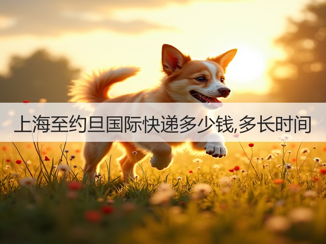 上海至约旦国际快递多少钱,多长时间(图1)