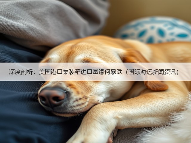 深度剖析：美国港口集装箱进口量缘何暴跌（国际海运新闻资讯）(图1)