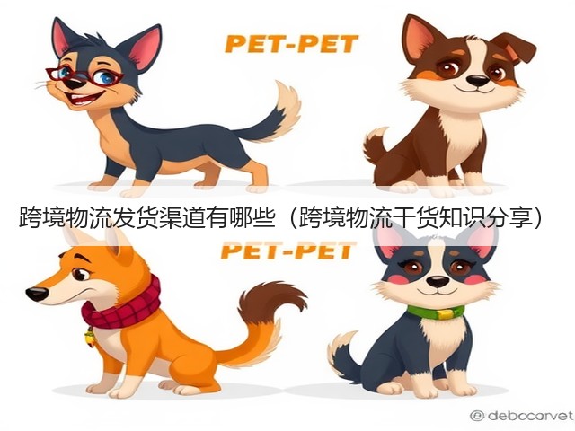 跨境物流发货渠道有哪些（跨境物流干货知识分享）(图3)