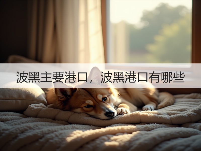 波黑主要港口，波黑港口有哪些