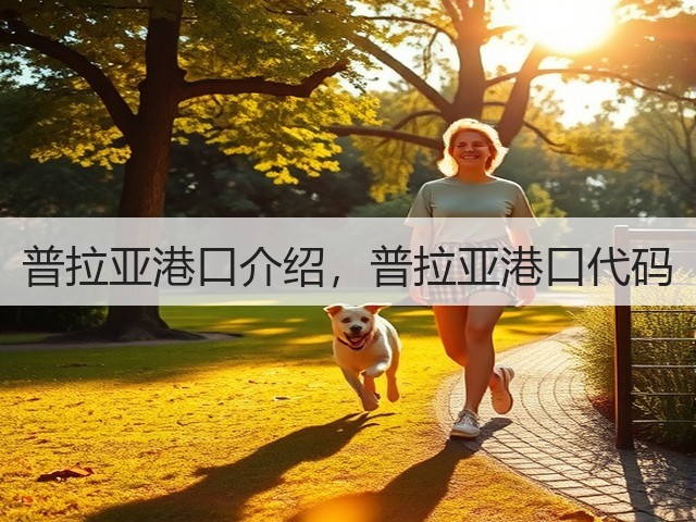 普拉亚港口介绍，普拉亚港口代码(图1)