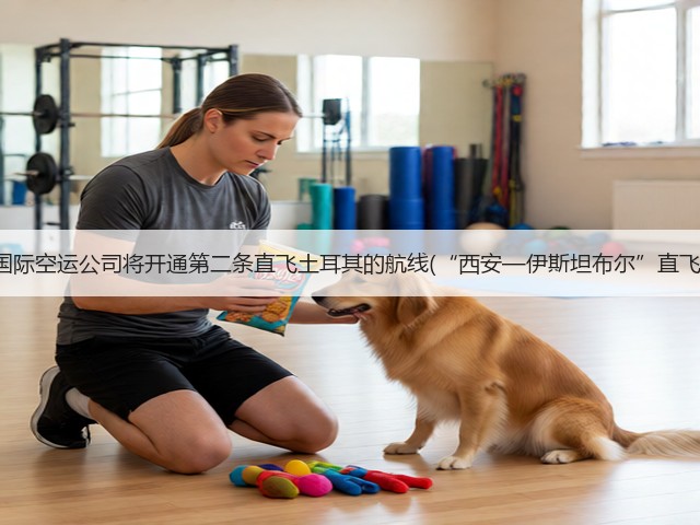 东航国际空运公司将开通第二条直飞土耳其的航线(“西安—伊斯坦布尔”直飞航线)(图3) 东航国际空运公司将开通第二条直飞土耳其的航线(“西安—伊斯坦布尔”直飞航线)(图3)