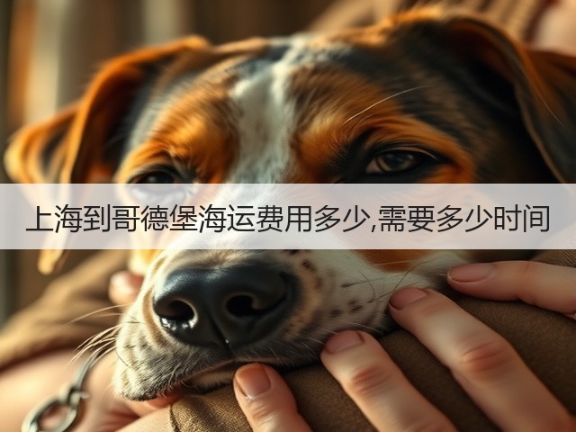 上海到哥德堡海运费用多少,需要多少时间(图1)