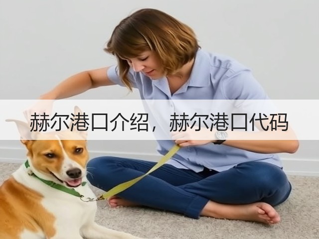 赫尔港口介绍，赫尔港口代码(图2)