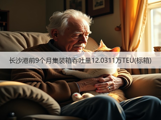 长沙港前9个月集装箱吞吐量12.0311万TEU(标箱)(图3)