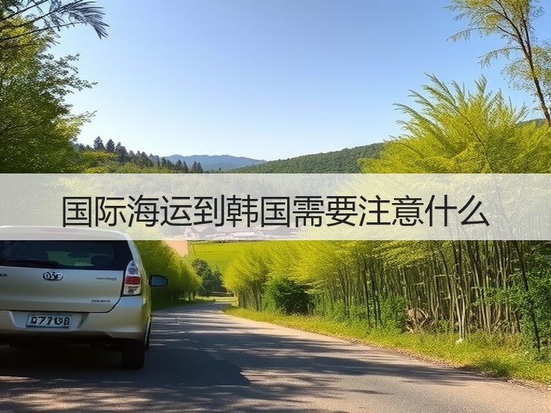 国际海运到韩国需要注意什么 国际海运到韩国需要注意什么