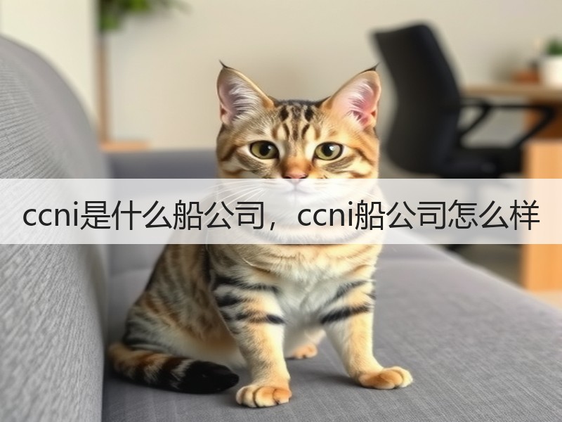 ccni是什么船公司,ccni船公司怎么样 ccni是什么船公司,ccni船公司怎么样