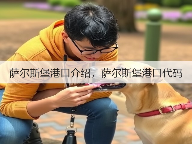萨尔斯堡港口介绍,萨尔斯堡港口代码(图3) 萨尔斯堡港口介绍,萨尔斯堡港口代码(图3)