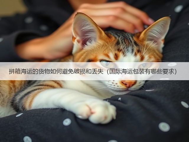 拼箱海运的货物如何避免破损和丢失(国际海运包装有哪些要求)(图3) 拼箱海运的货物如何避免破损和丢失(国际海运包装有哪些要求)(图3)