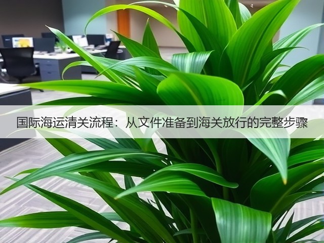 国际海运清关流程:从文件准备到海关放行的完整步骤(图1) 国际海运清关流程:从文件准备到海关放行的完整步骤(图1)