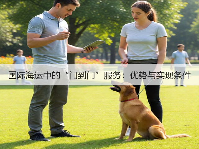 国际海运中的“门到门”服务:优势与实现条件(图2) 国际海运中的“门到门”服务:优势与实现条件(图2)