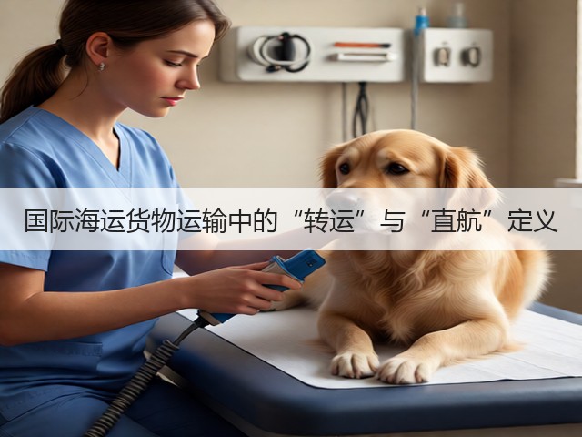 国际海运货物运输中的“转运”与“直航”定义(图3)