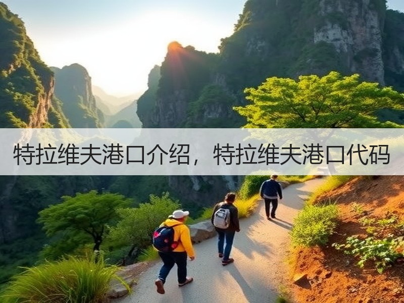 特拉维夫港口介绍，特拉维夫港口代码