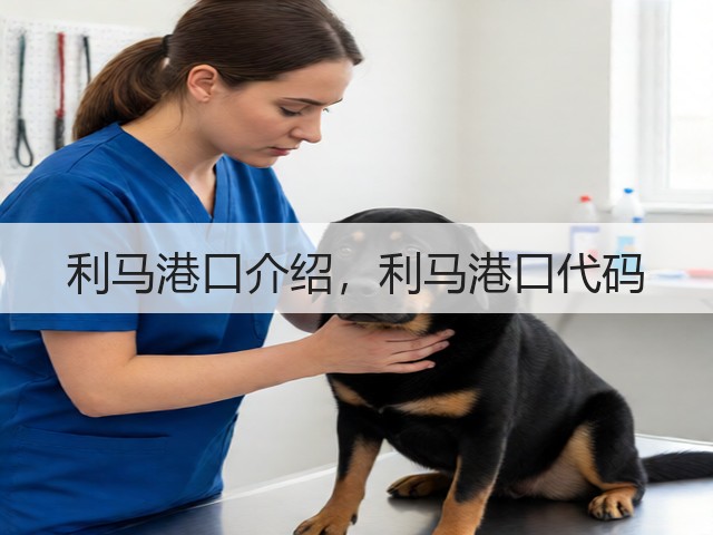利马港口介绍，利马港口代码(图2)