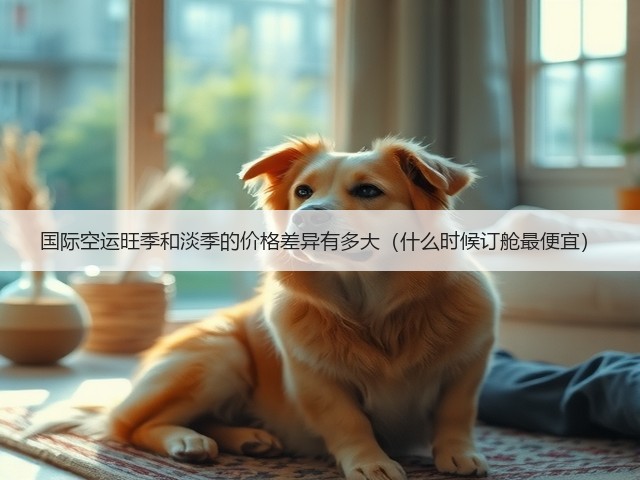 国际空运旺季和淡季的价格差异有多大(什么时候订舱最便宜)(图2) 国际空运旺季和淡季的价格差异有多大(什么时候订舱最便宜)(图2)