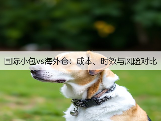国际小包vs海外仓：成本、时效与风险对比(图3)