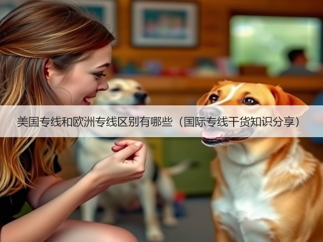 美国专线和欧洲专线区别有哪些(国际专线干货知识分享)(图1) 美国专线和欧洲专线区别有哪些(国际专线干货知识分享)(图1)